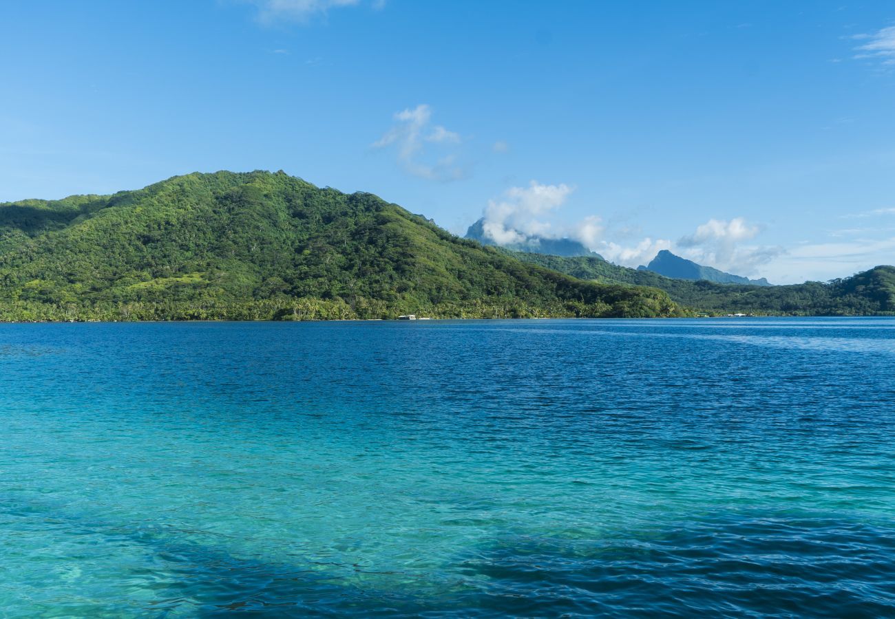 Bangalô em Raiatea - RAIATEA - Fare Apetahi