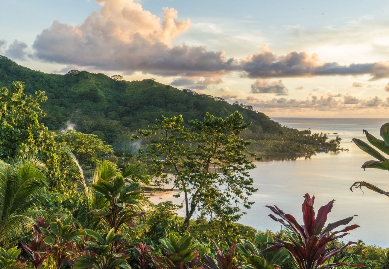 Bangalô em Raiatea - RAIATEA - Fare Apetahi