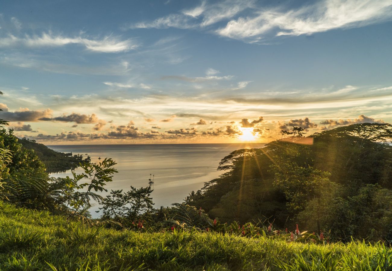 Bangalô em Raiatea - RAIATEA - Fare Apetahi