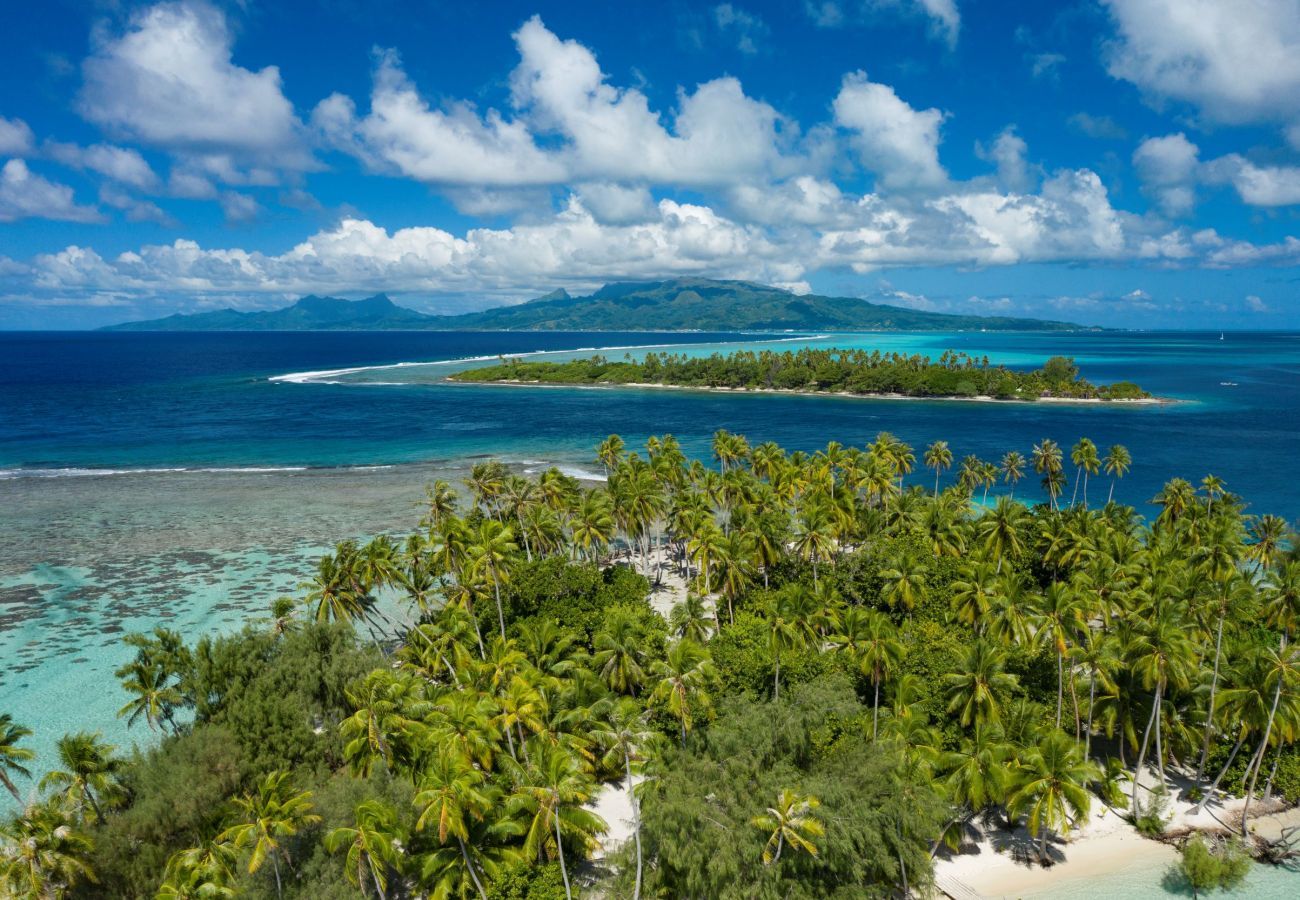 Bangalô em Raiatea - RAIATEA - Fare Apetahi