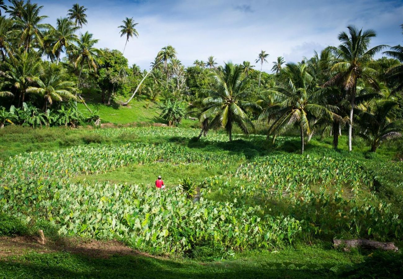 Bangalô em Anapoto - RIMATARA - Bungalow Ā'Ā URA Hoe