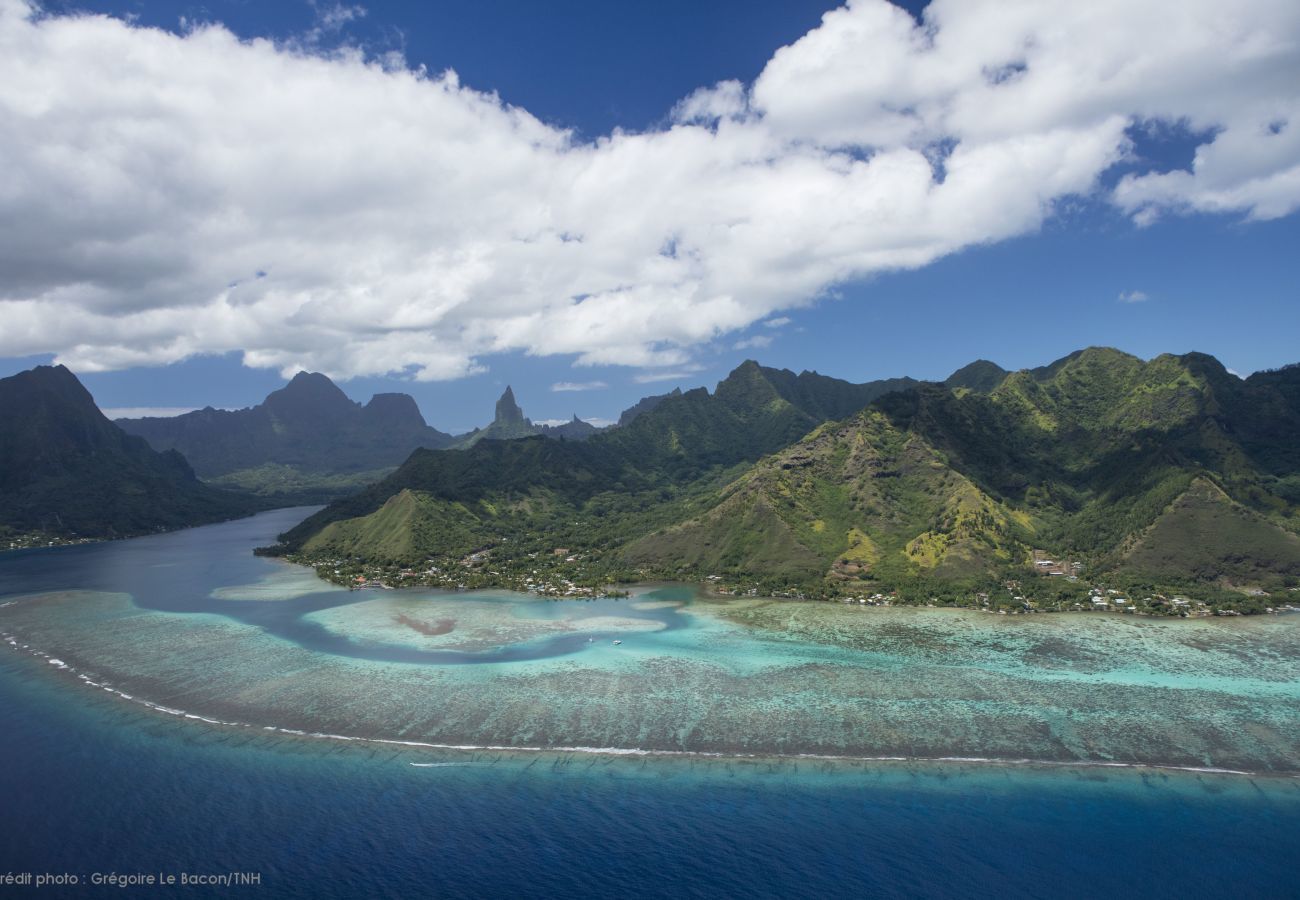 Casa em Paopao - MOOREA - Paopao Pool Mountain