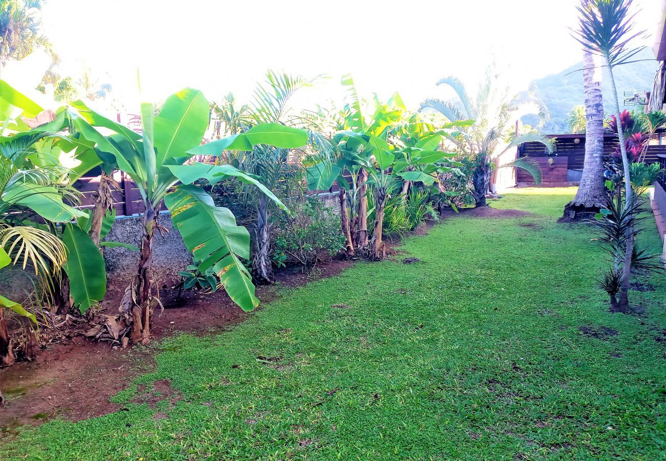 Bangalô em Vai'anae - MOOREA - Fare Miti