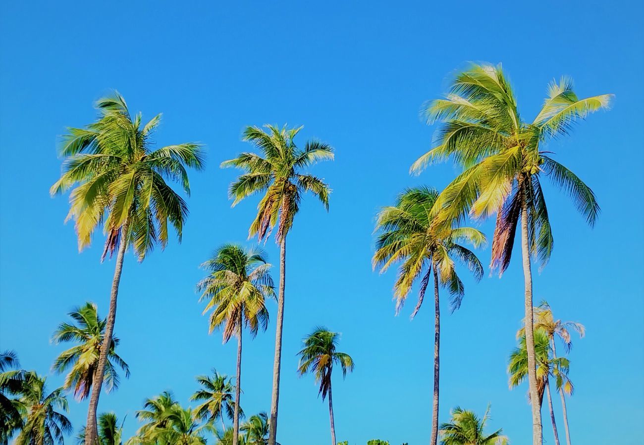 Villa em Temae - MOOREA - Toatea Beach Villa