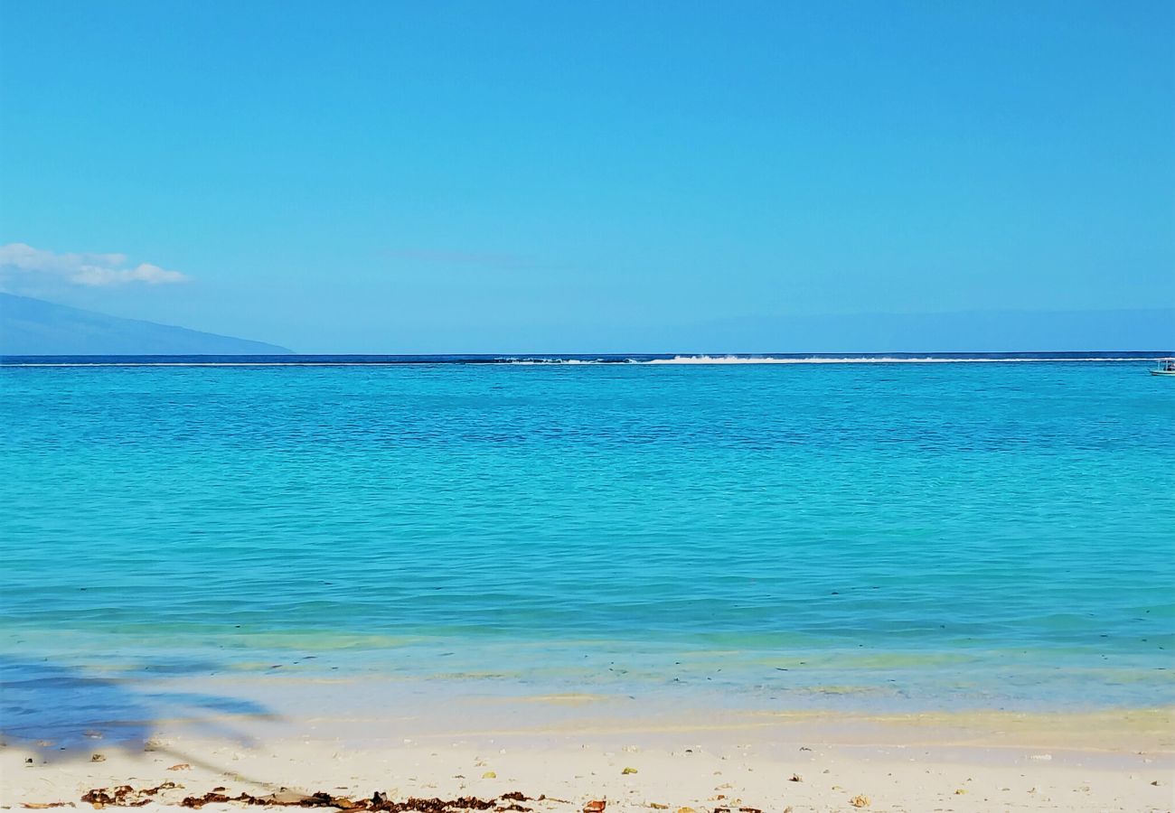 Villa em Temae - MOOREA - Toatea Beach Villa