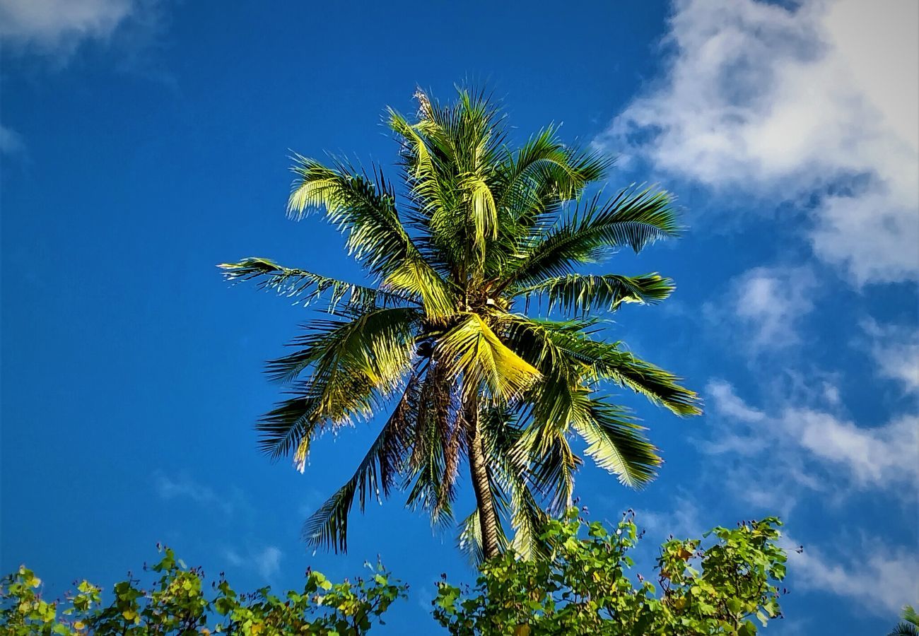 Villa em Temae - MOOREA - Toatea Beach Villa