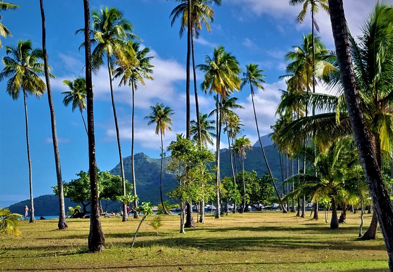 Villa em Temae - MOOREA - Toatea Beach Villa