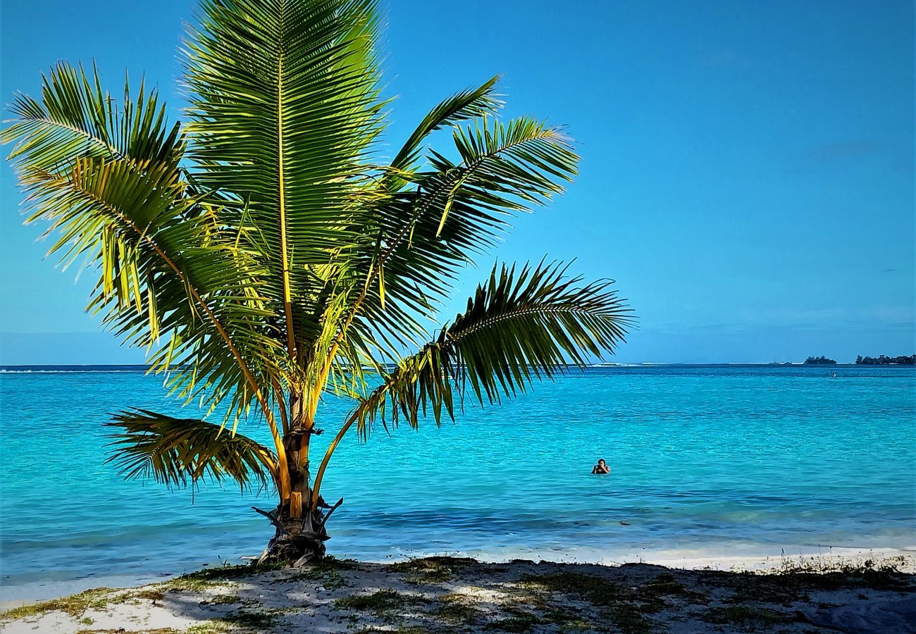 Villa em Temae - MOOREA - Toatea Beach Villa