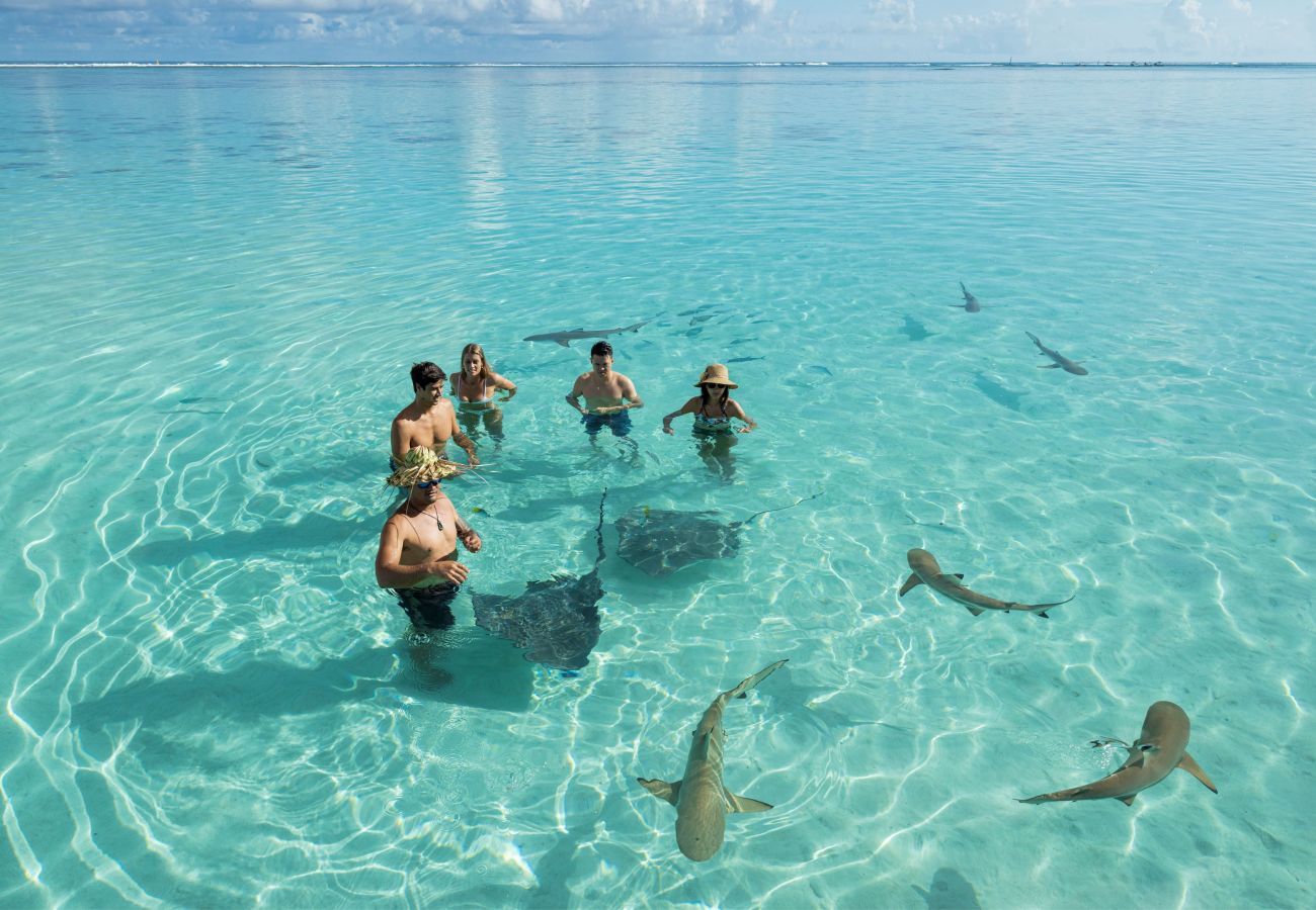 Bangalô em Pihaena - MOOREA - The ZEN Den spa