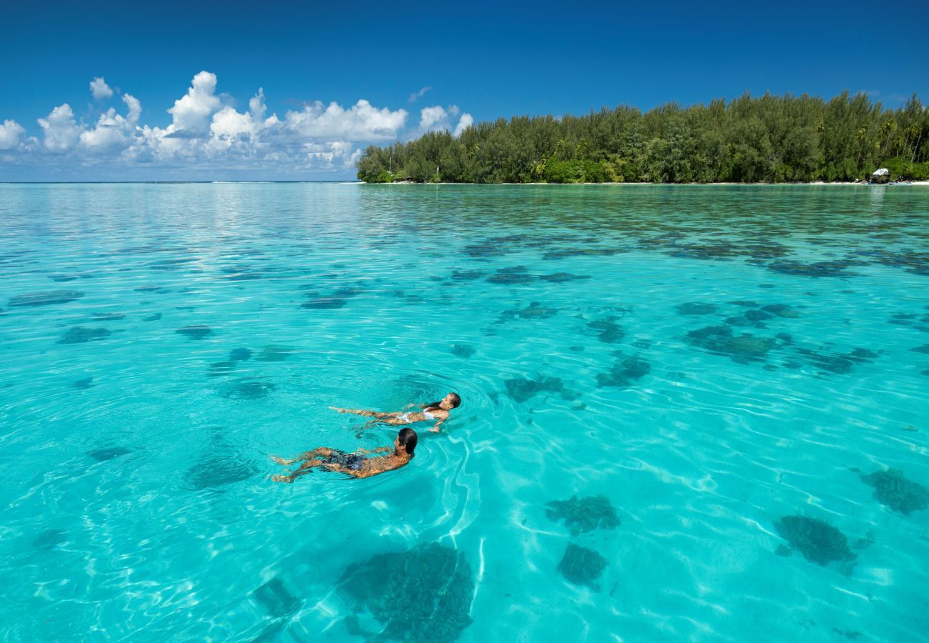 Bangalô em Pihaena - MOOREA - The ZEN Den spa