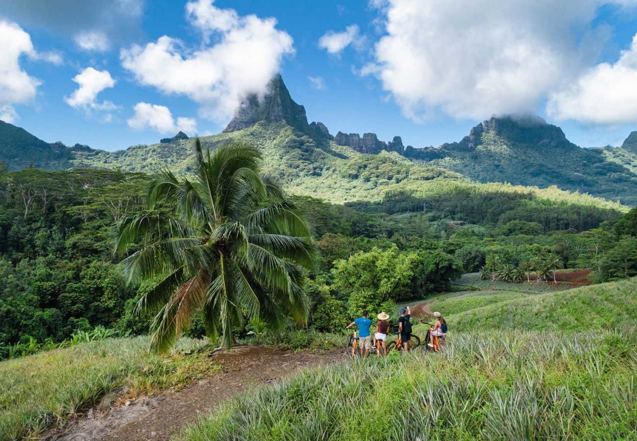 Bangalô em Pihaena - MOOREA - The ZEN Den spa