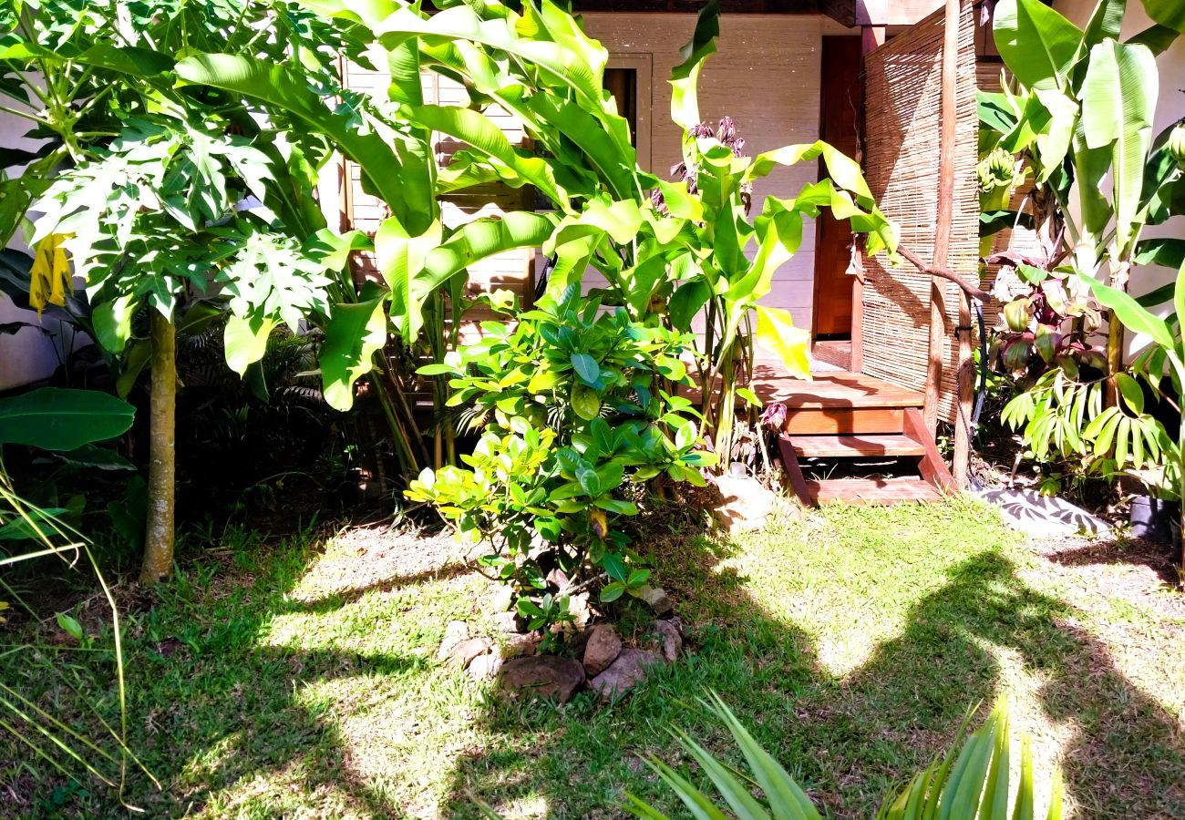 Estúdio em Hauru - MOOREA - Tropical Nest