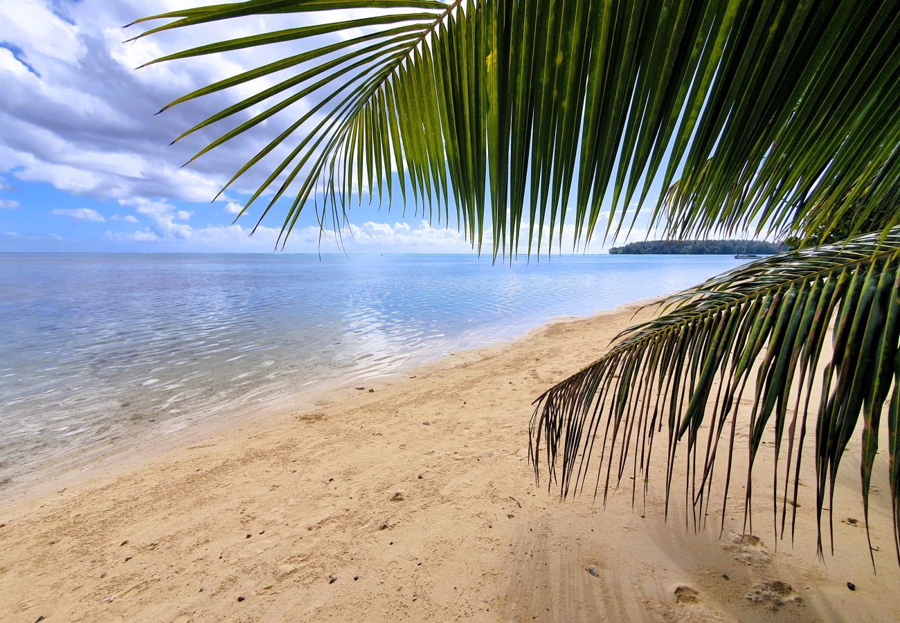 Estúdio em Hauru - MOOREA - Tropical Nest