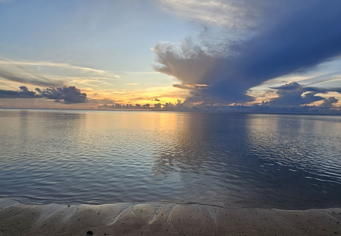 Estúdio em Hauru - MOOREA - Tropical Nest