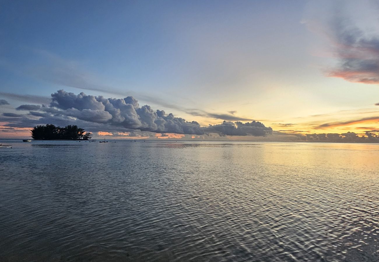 Estúdio em Hauru - MOOREA - Tropical Nest