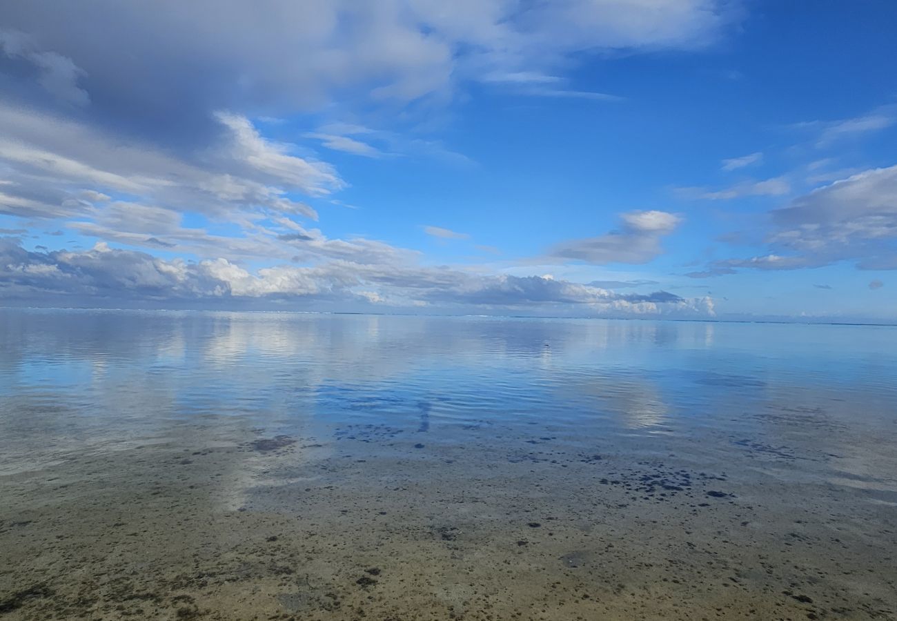 Estúdio em Hauru - MOOREA - Tropical Nest