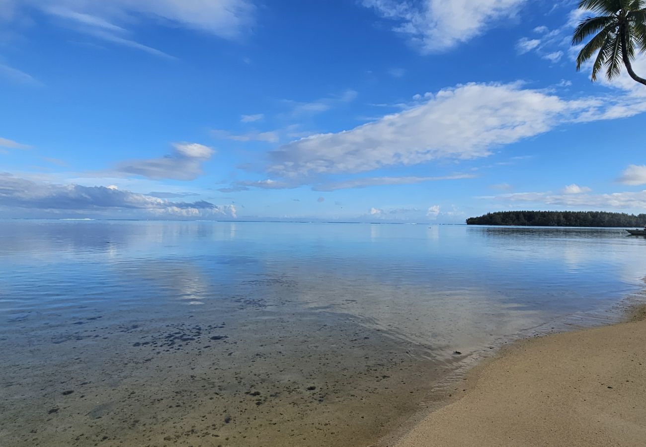 Estúdio em Hauru - MOOREA - Tropical Nest