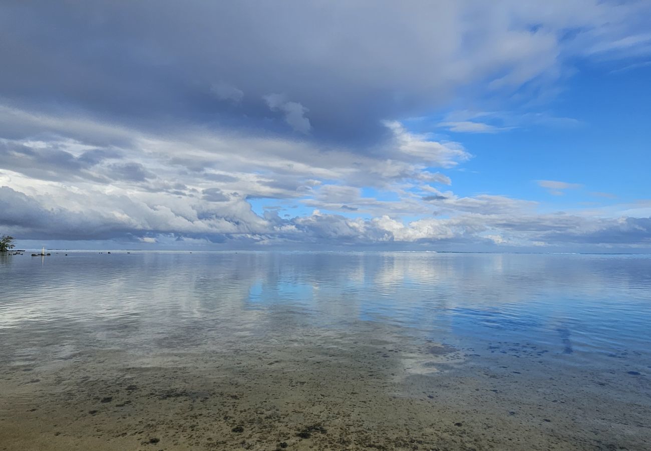 Estúdio em Hauru - MOOREA - Tropical Nest