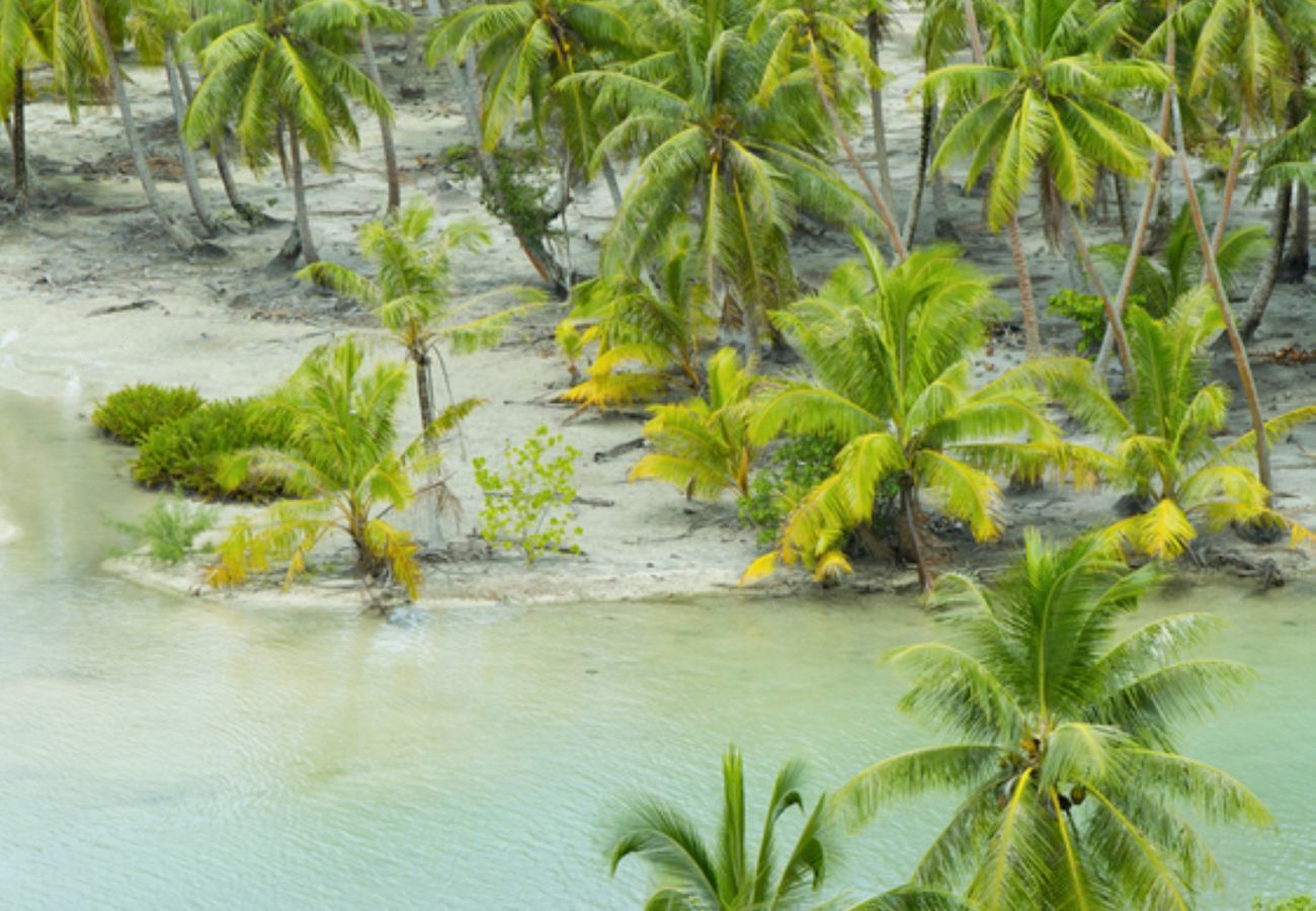 Quarto em Huahine-Nui - HUAHINE - Room Manava Piti