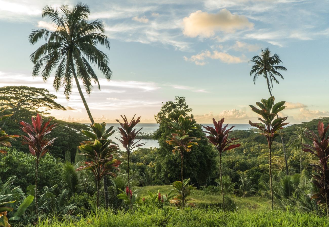 Chalé em Uturoa - RAIATEA - Utuafare Hamoa