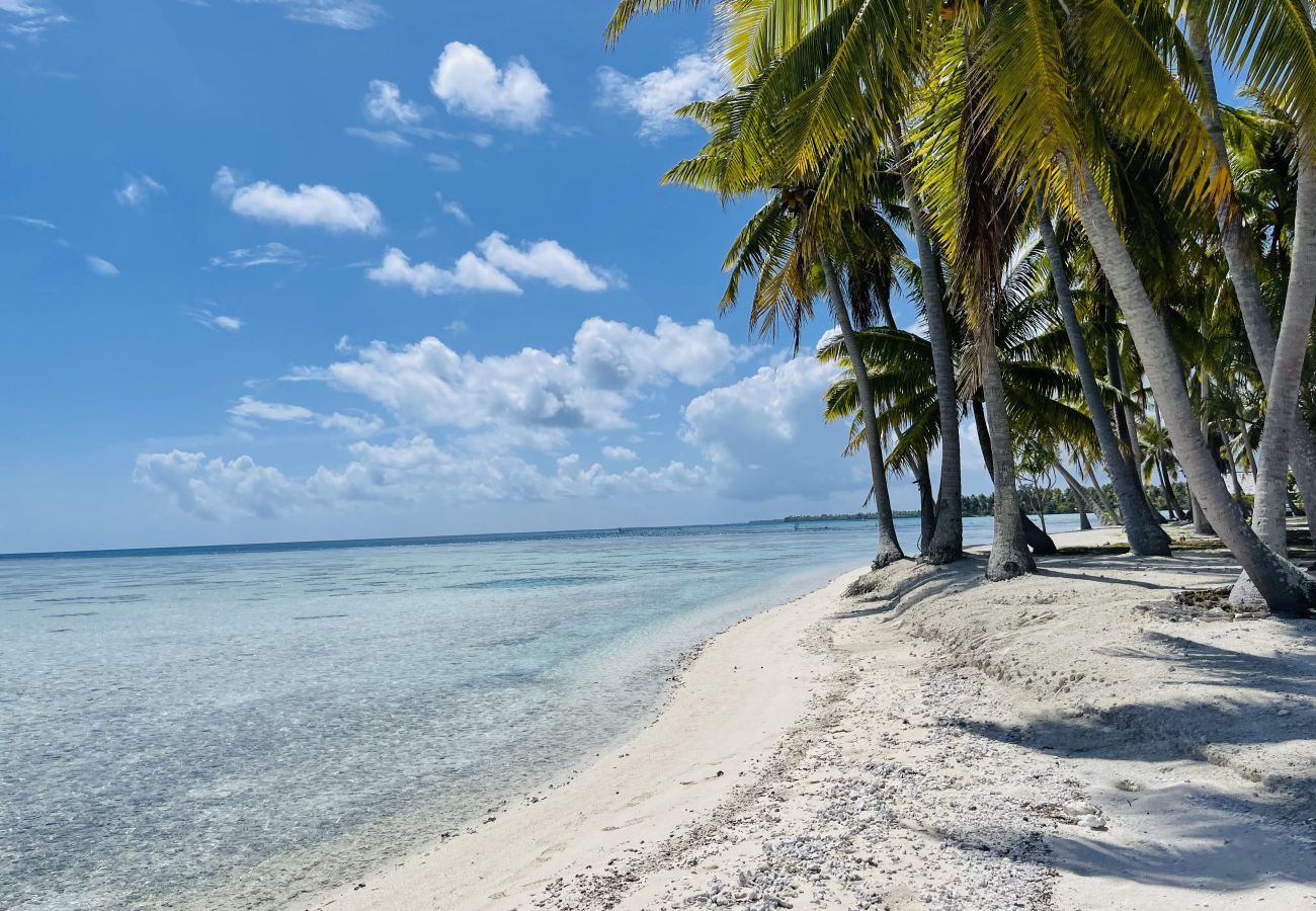 Villa em Avatoru - RANGIROA - Villa Prestige Fara Iti