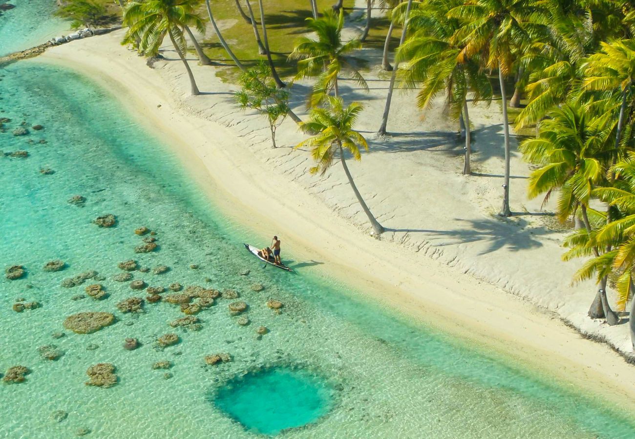 Villa em Avatoru - RANGIROA - Villa Prestige Fara Iti