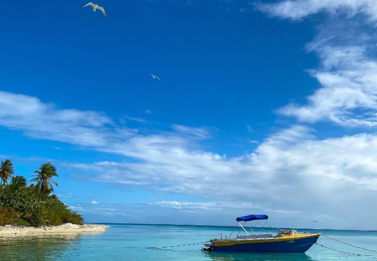 Bangalô em Avatoru - RANGIROA - Taiamani Bungalow