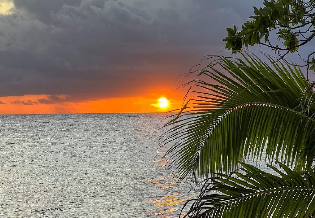 Bangalô em Avatoru - RANGIROA - Ranitea Bungalow