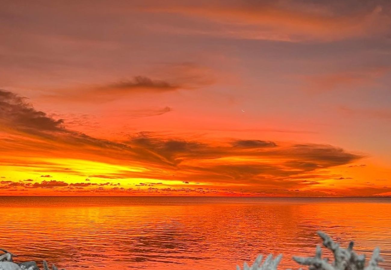 Bangalô em Avatoru - RANGIROA - Hope Bungalow