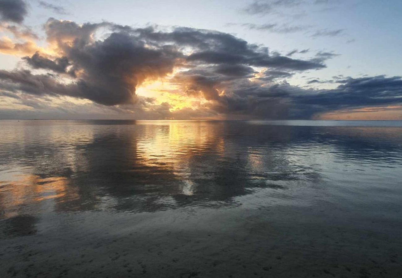 Estúdio em Hauru - MOOREA - Tropical Cottage