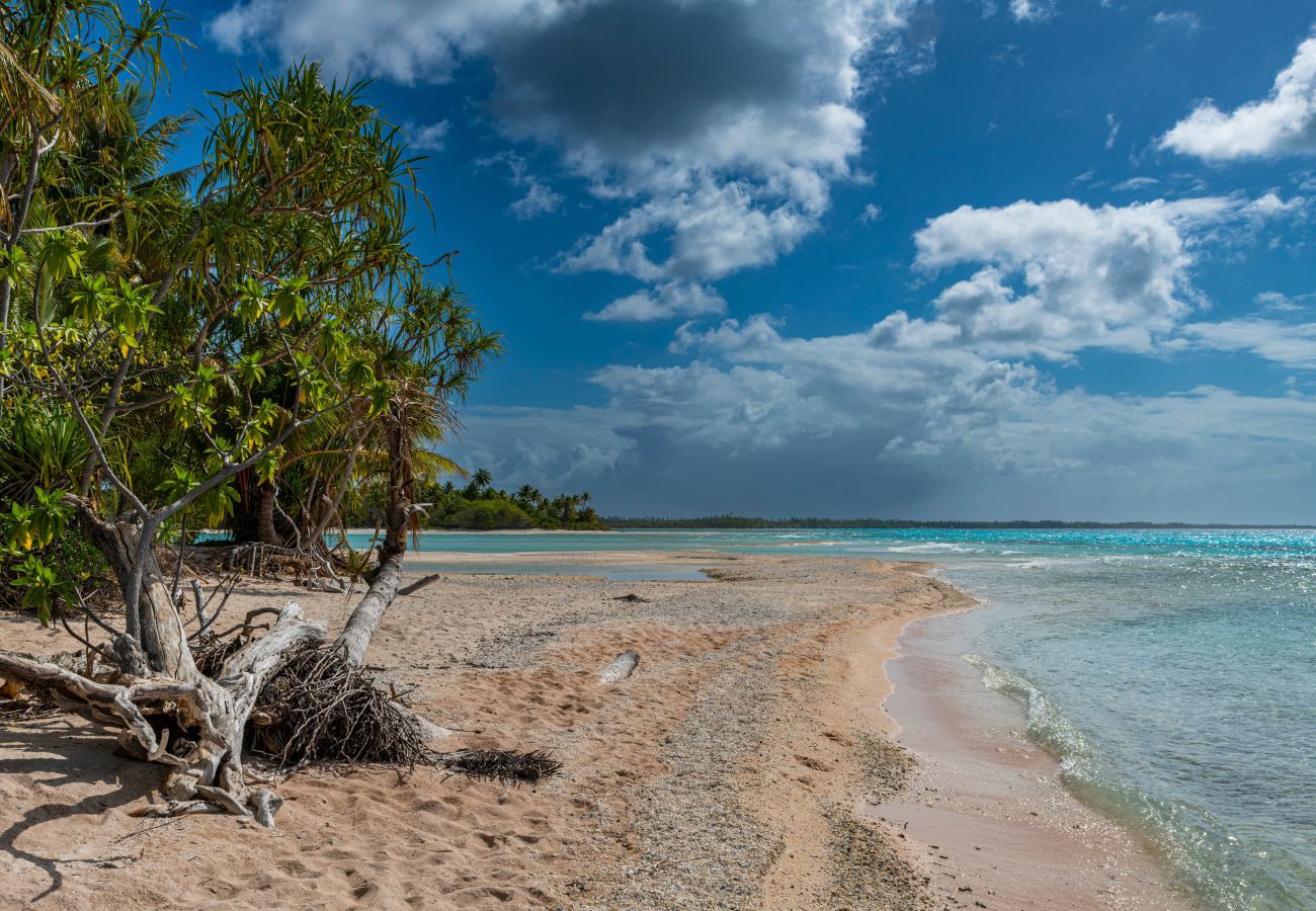 Bangalô em Rangiroa - RANGIROA - My Eden Place