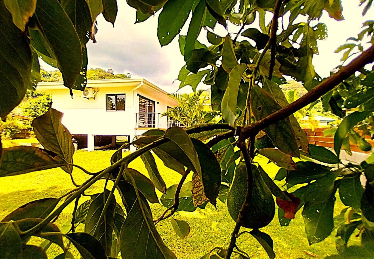 Ferienhaus in Taiarapu-Ouest - TAHITI - Ateatea Beach House