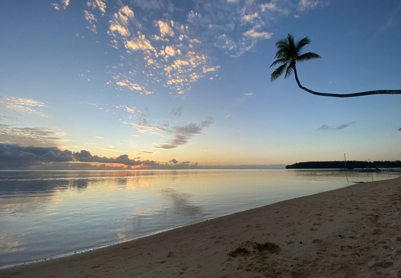 Studio in Hauru - MOOREA - Tropical Nest