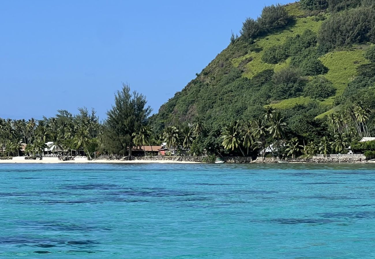 Studio in Hauru - MOOREA - Tropical Nest