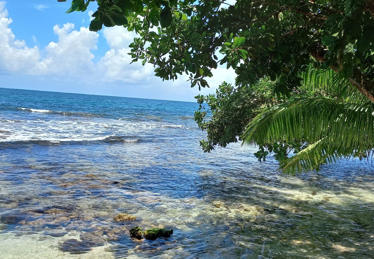 Ferienhaus in Afaahiti - TAHITI - Fenua Chill House