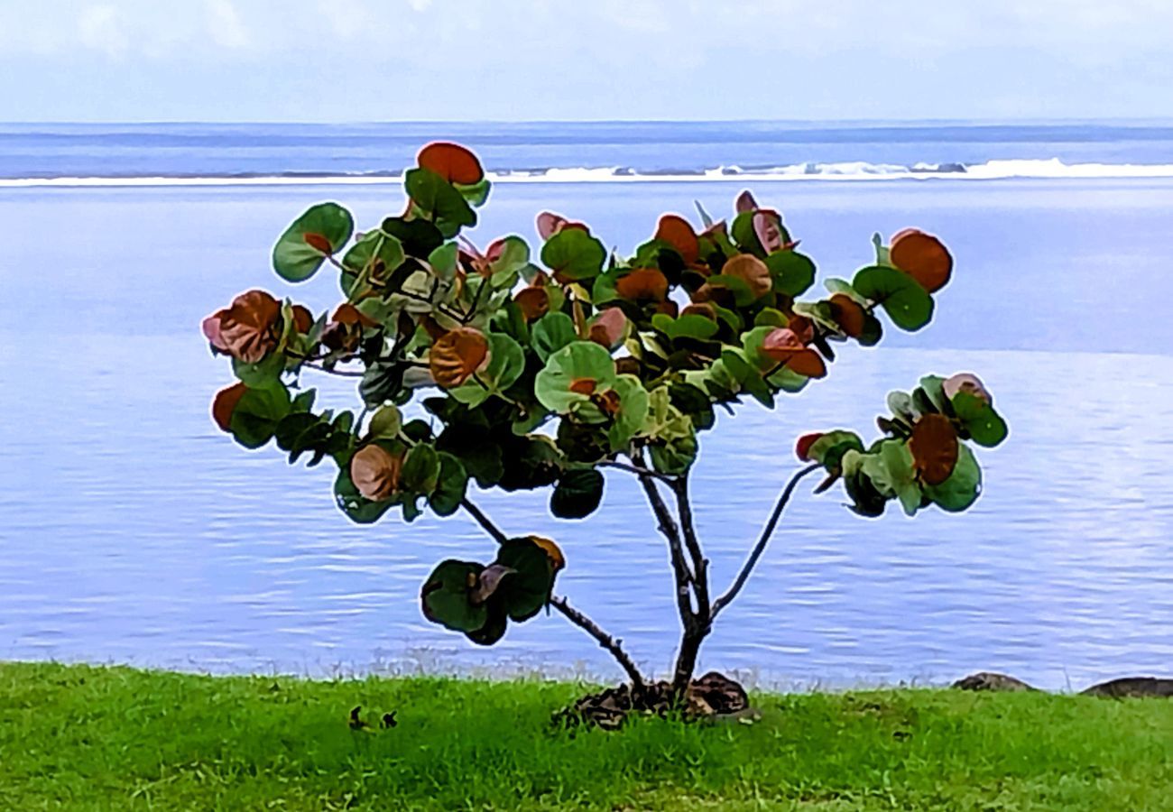 Ferienhaus in Papara - TAHITI - Taumatariki Beach Hoe