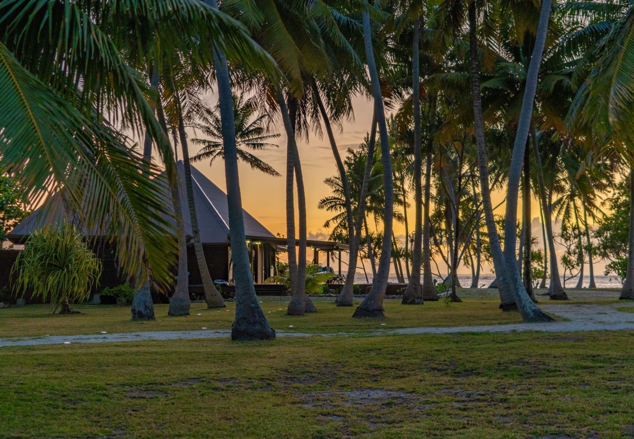 Genießen Sie den Sonnenuntergang vom Kokospalmenhain der Villa aus!