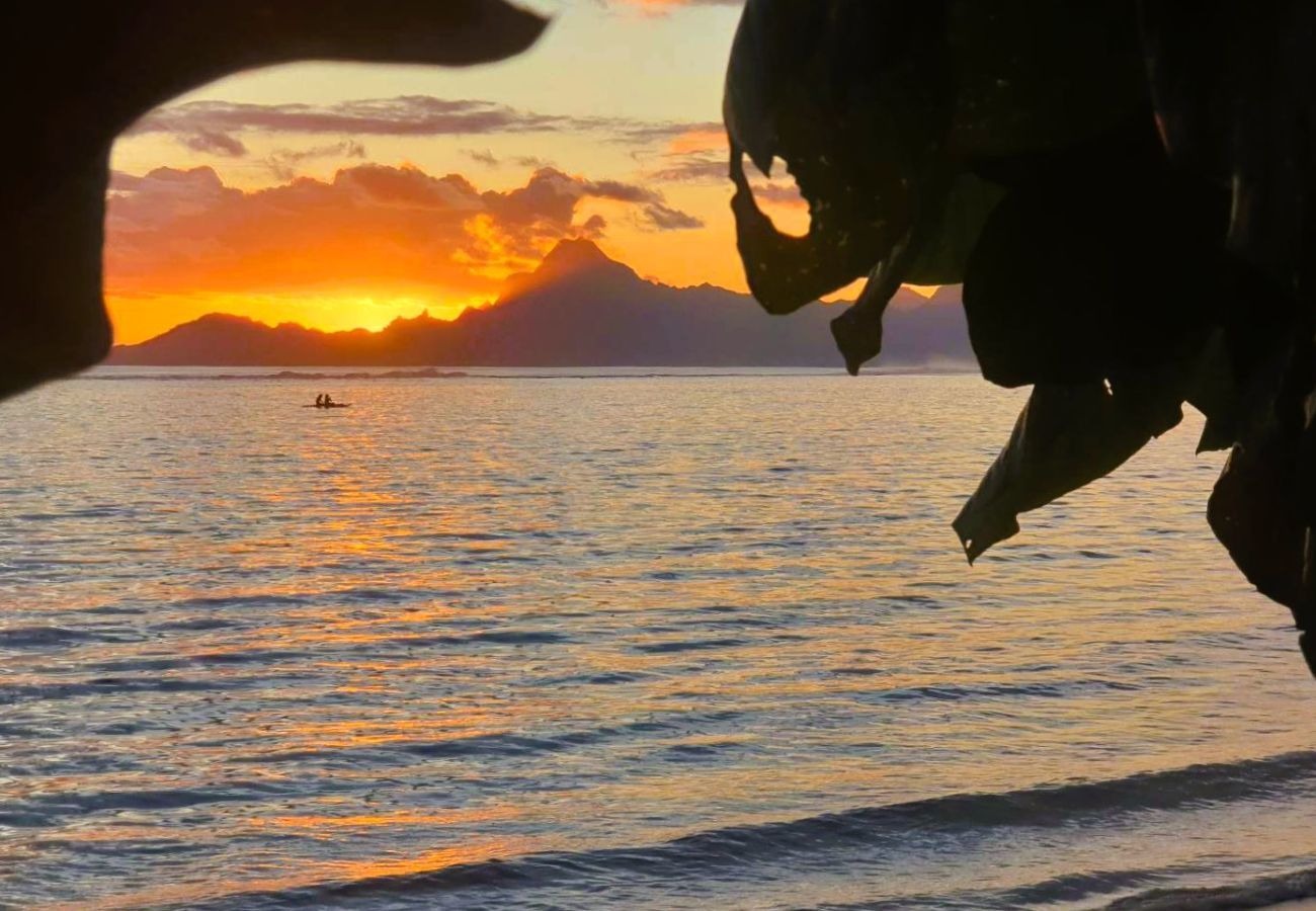 Ferienhaus in Punaauia - TAHITI - Fare Vainato Beach