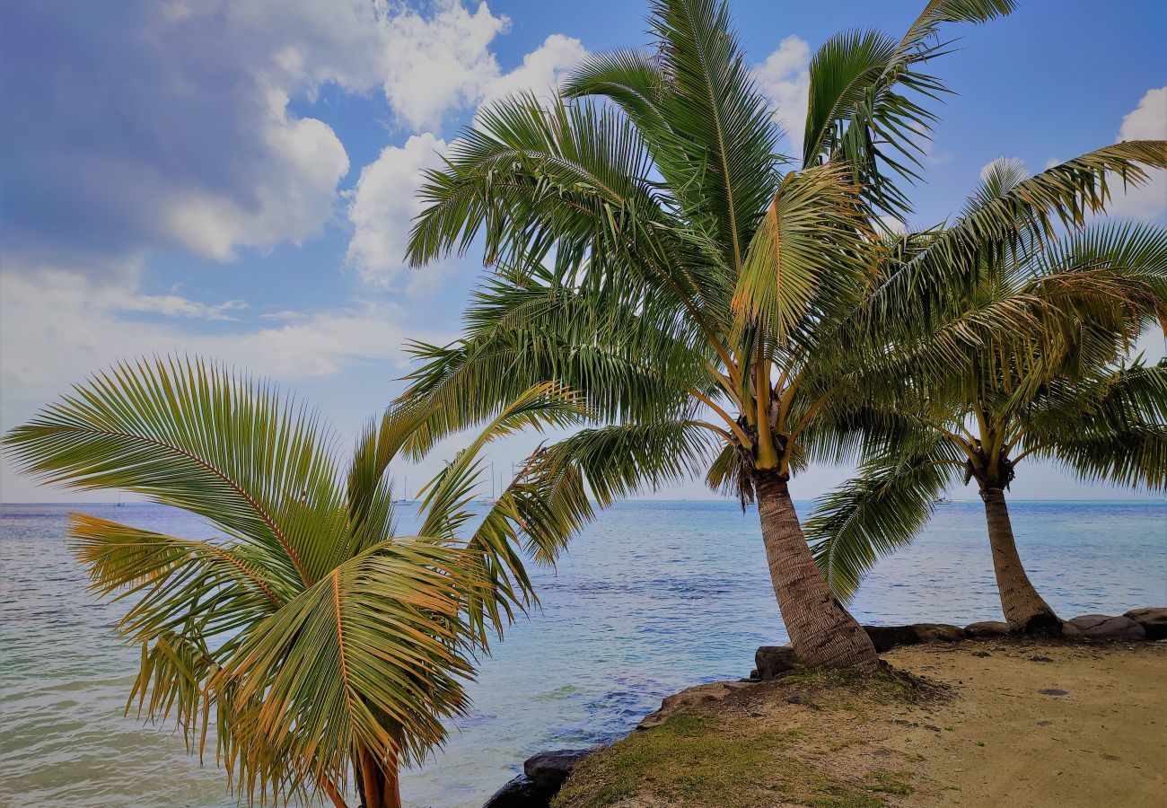 House in Huahine-Nui - HUAHINE - Tipanier House