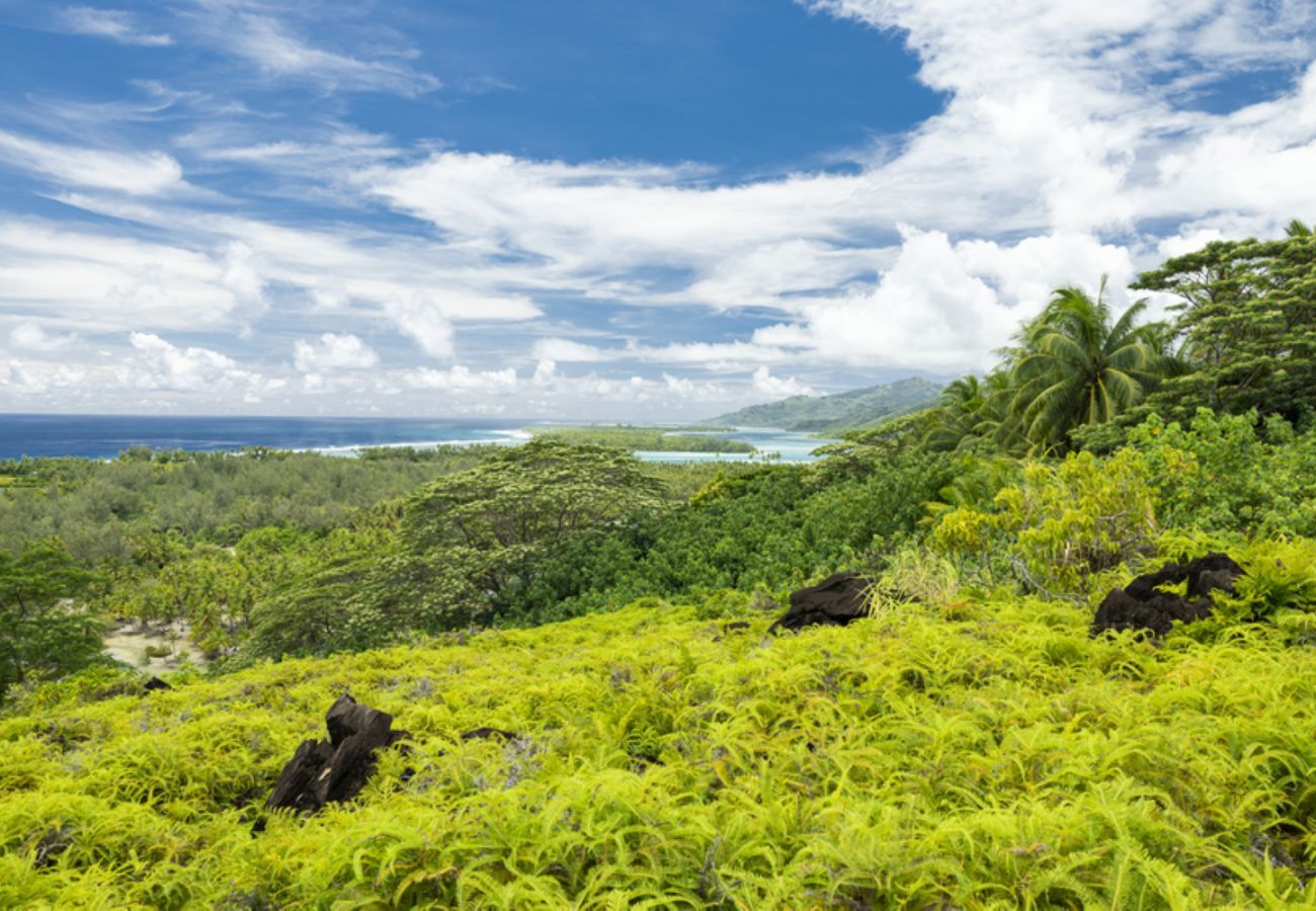 Rent by room in Huahine-Nui - HUAHINE - Room Manava Hoe