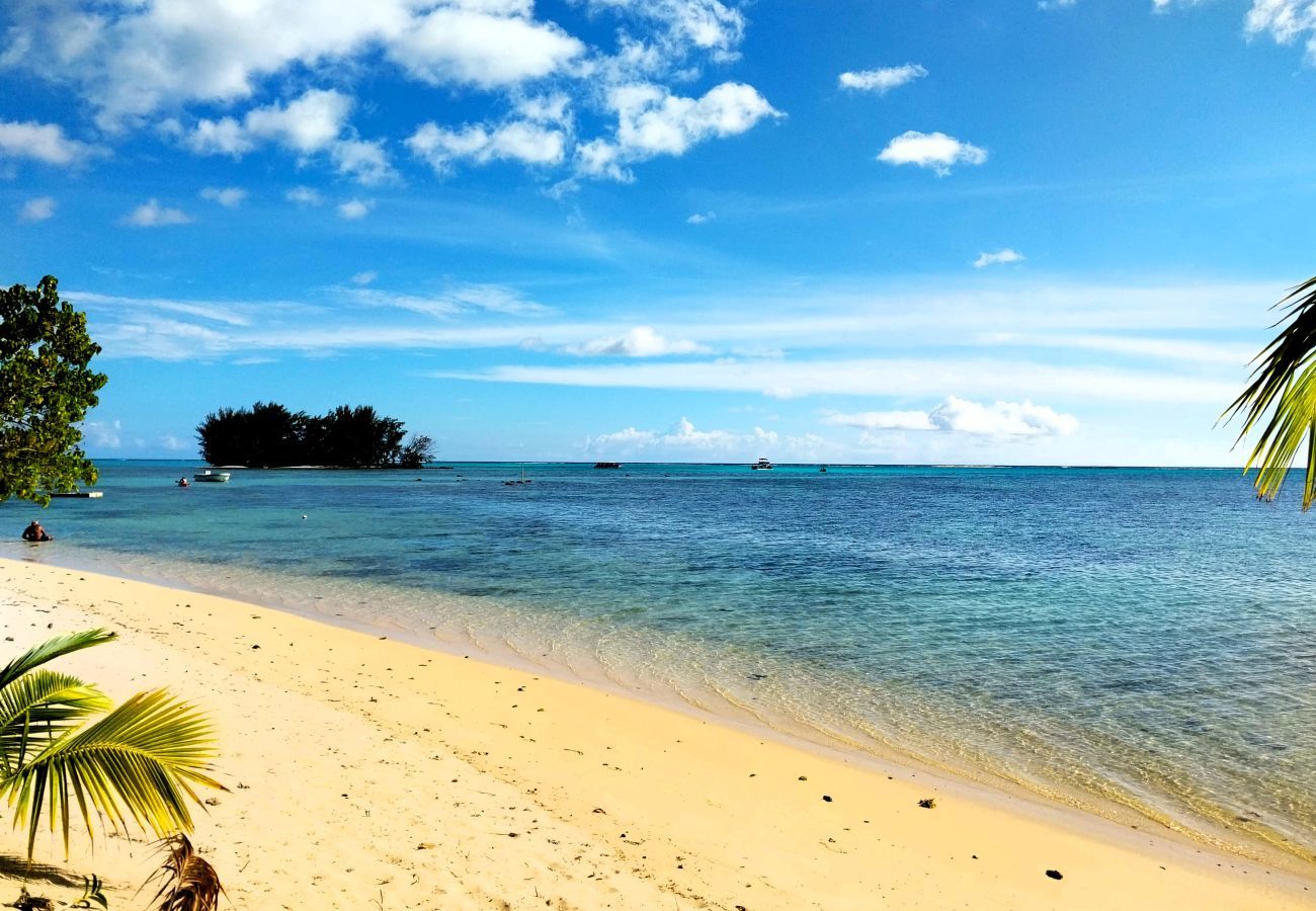 Estudio en Hauru - MOOREA - Tropical Cottage