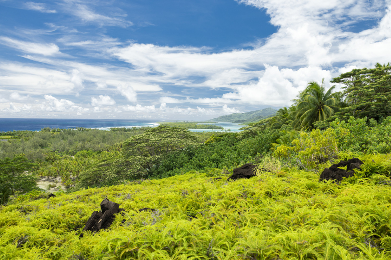  a Huahine-Nui - HUAHINE - Room Manava Piti