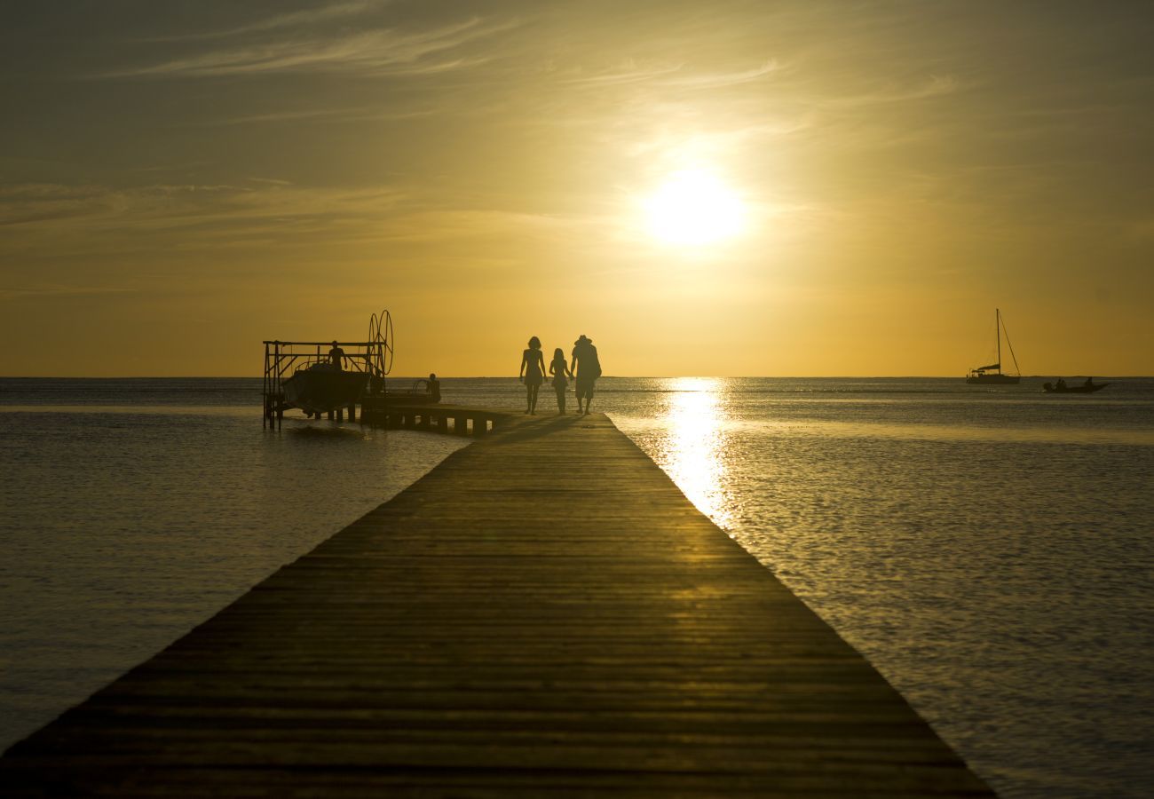 Bungalow a Raiatea - RAIATEA - Fare Feti'i