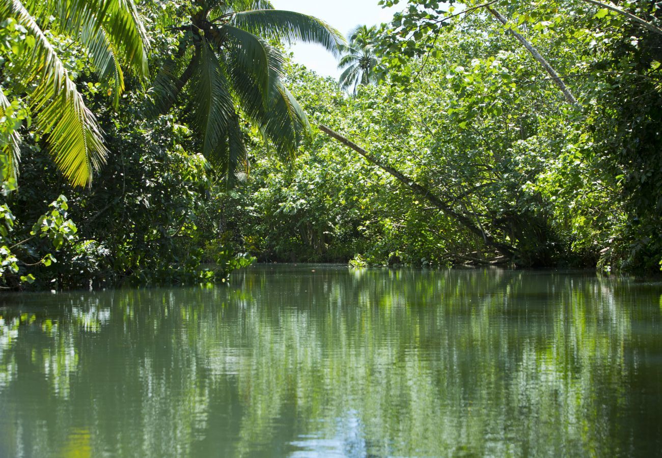 Bungalow a Raiatea - RAIATEA - Fare Feti'i