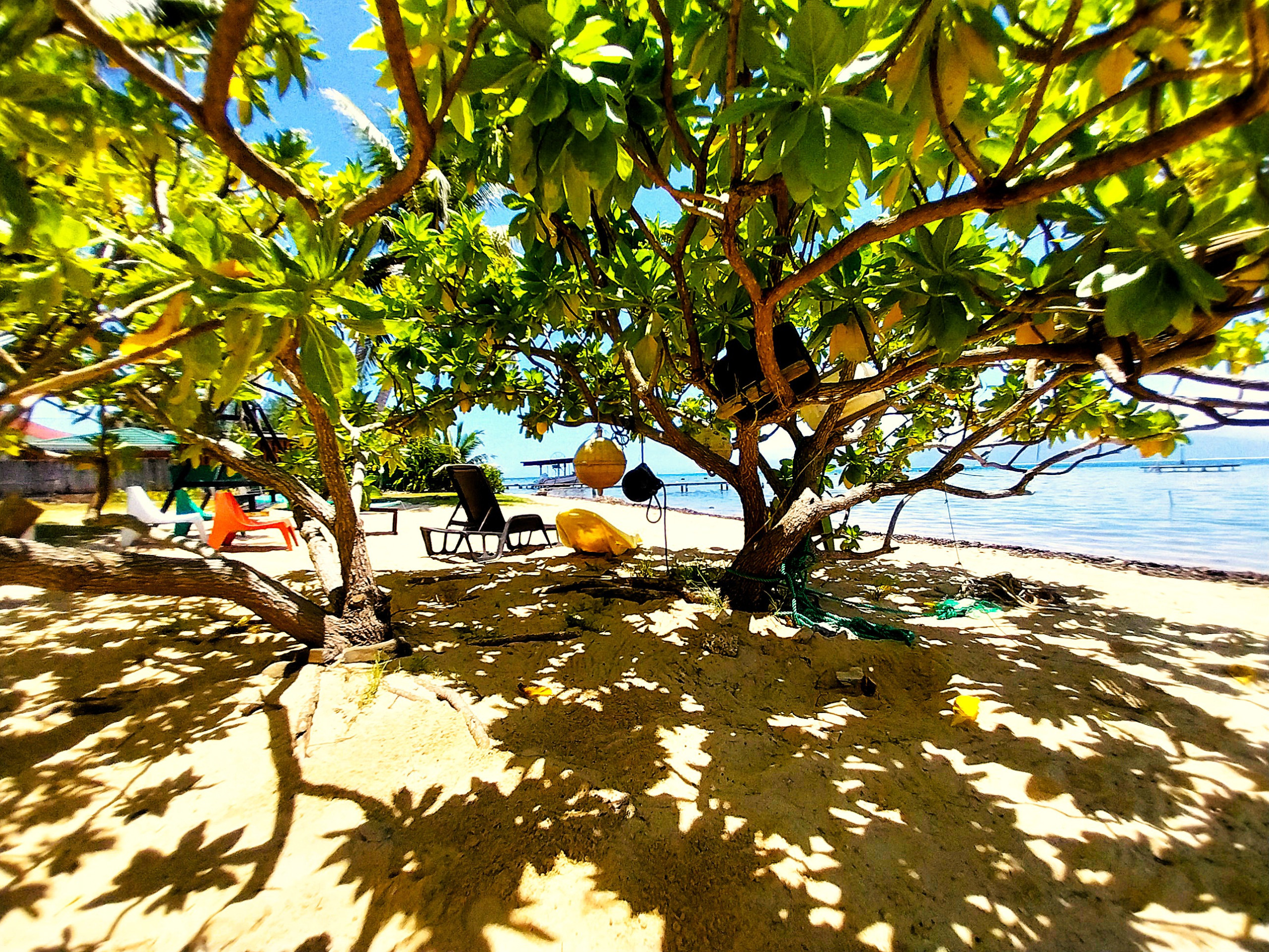  à Maatea - MOOREA - Manihini Beach Fare