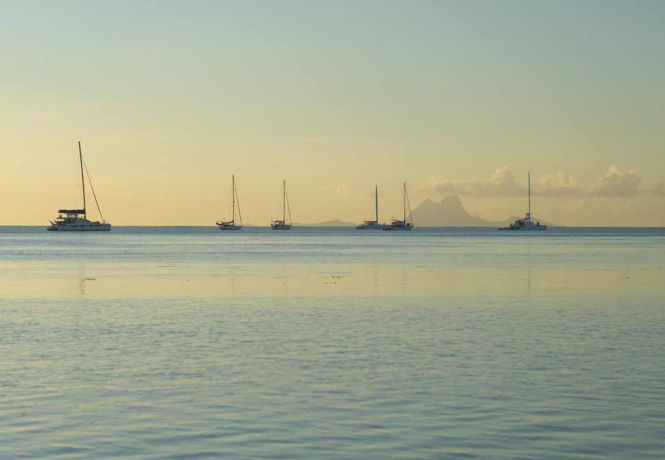 Bungalow à Raiatea - RAIATEA - Fare Ora