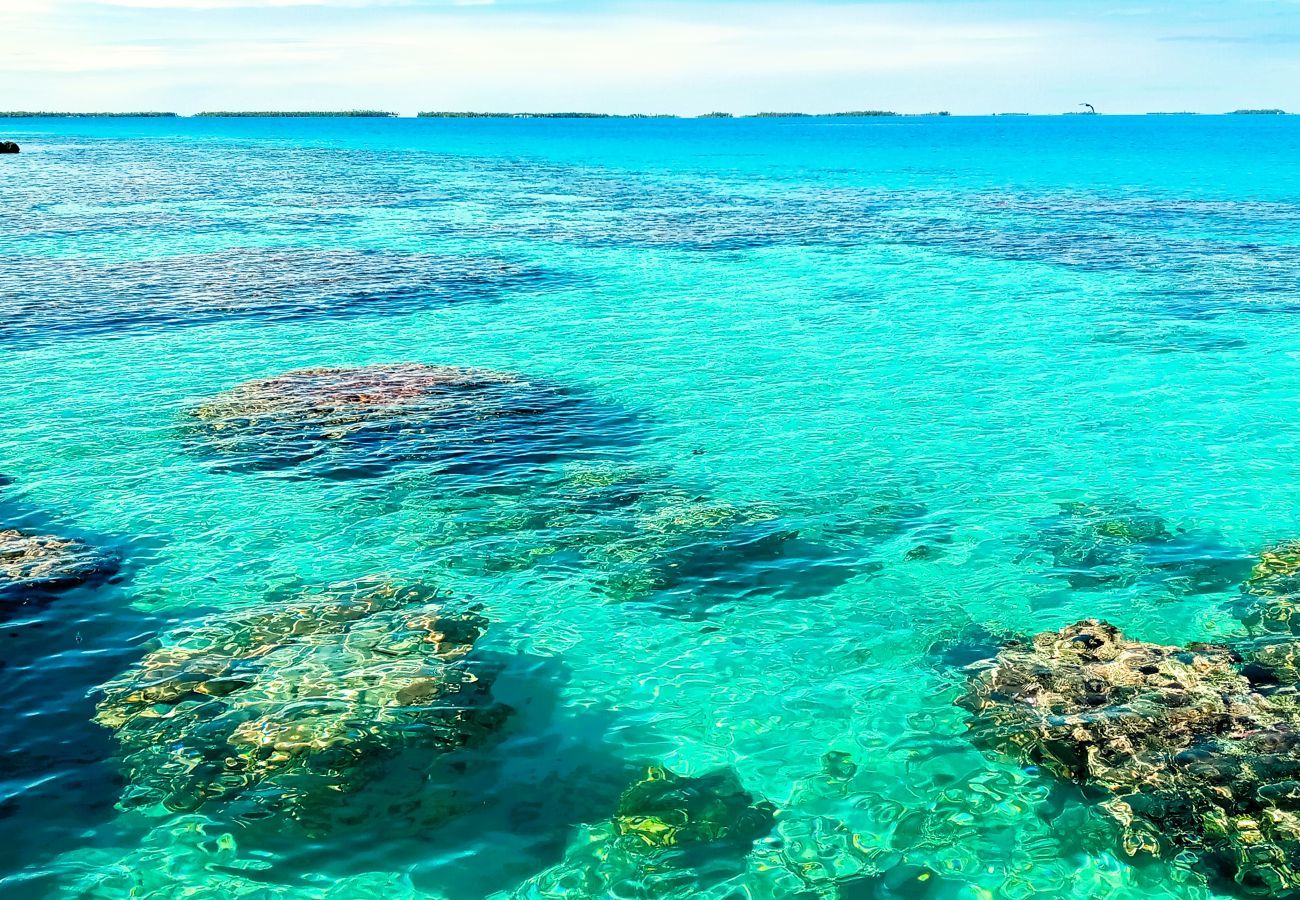 Bungalow à Tuherahera - TIKEHAU - Pink Dream Heaven 2