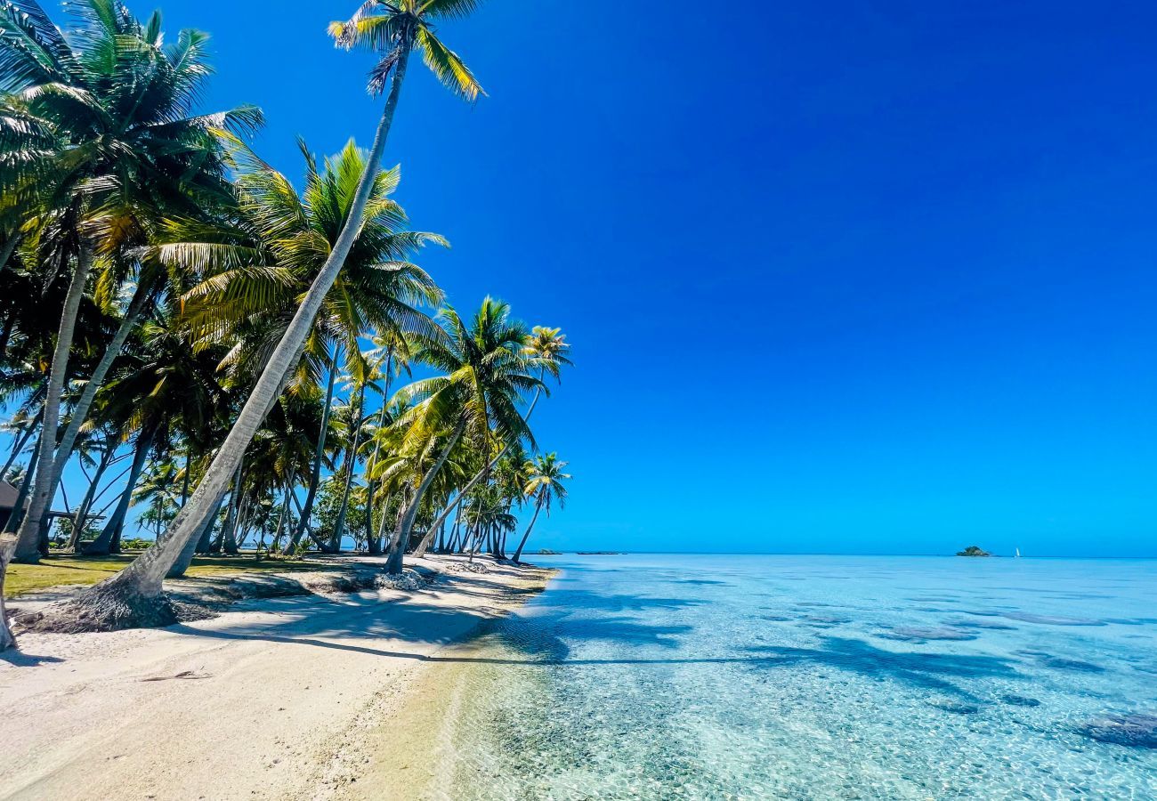 Villa à Avatoru - RANGIROA - Villa Prestige Fara Iti