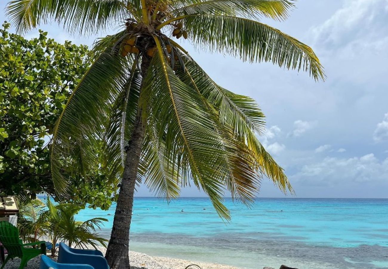 Bungalow à Avatoru - RANGIROA - Tihiata Bungalow