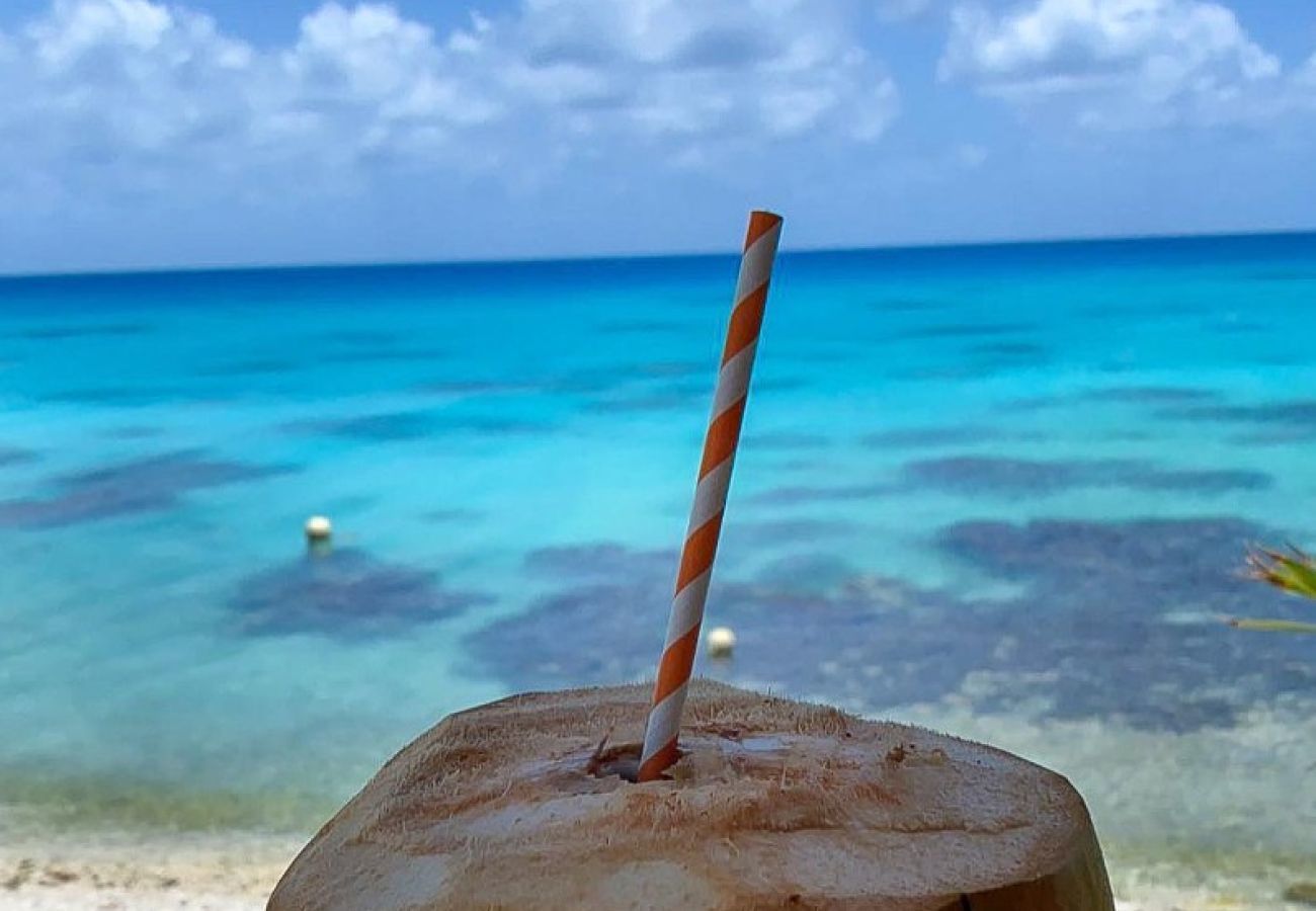 Bungalow à Avatoru - RANGIROA - Ranitea Bungalow